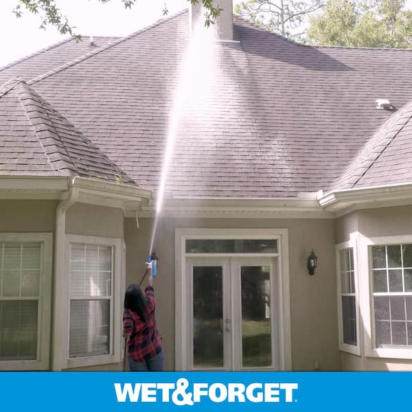 Wet and Forget - 48 oz. Outdoor Moss Mold Mildew and Algae Stain Remover with Rapid Application Hose End