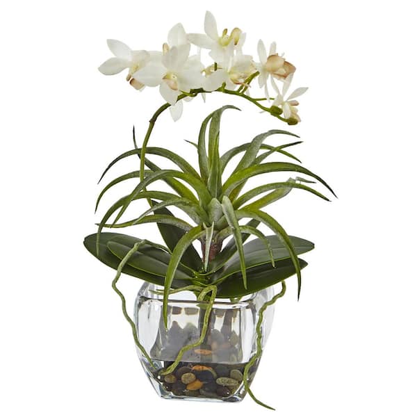 Nearly Natural Orchid and Succulent Arrangement