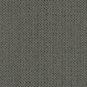 Lightbourne - Nightfall - Gray 39.3 oz. Nylon Loop Installed Carpet