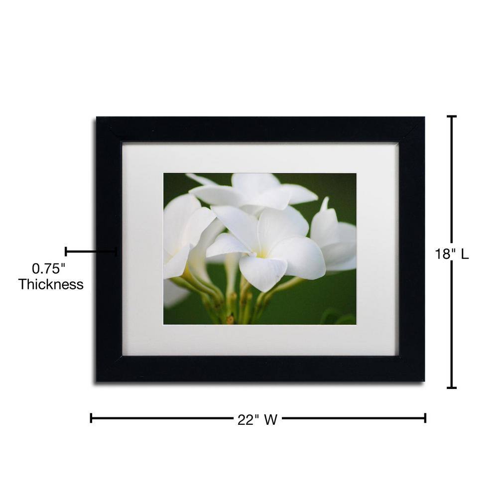 White Flower Giclee Print in Black Frame with White Mat
