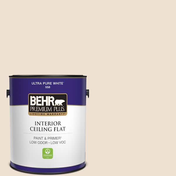 1 gal. #PWN-43 Calming Retreat Ceiling Flat Interior Paint
