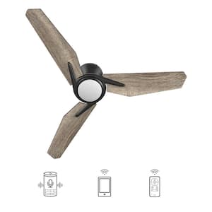 Tilbury 48 in. Integrated LED Indoor/Outdoor Black Smart Ceiling Fan with Light and Remote, Works with Alexa/Google Home