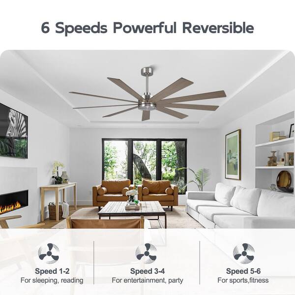 MLiAN 72 in. (6 ft. ) Indoor Ceiling Fan Without Light, 8-Plywood