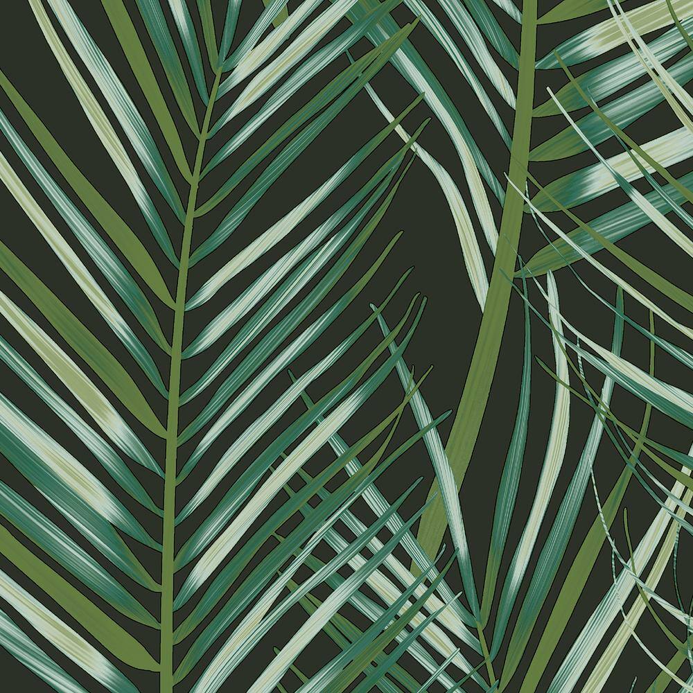 Modern Green and Black Palm Leaf Peel and Stick Wallpaper Roll