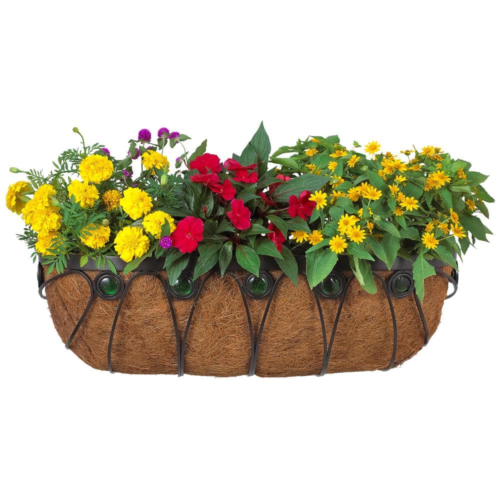 Emerald 36-Inch Black Metal and Coconut Wall Planter