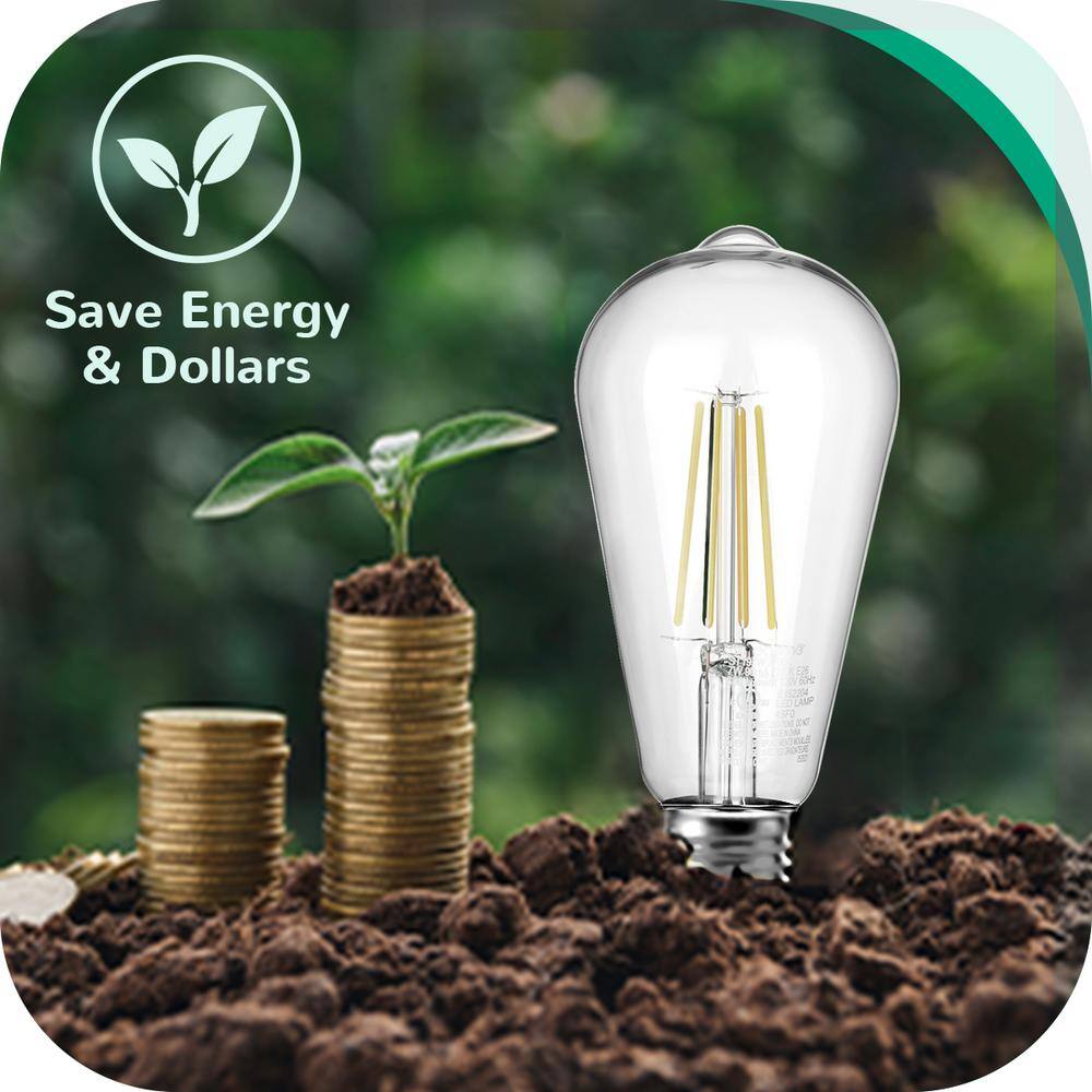 Clear Glass Vintage Edison LED Light Bulbs, 4000K, 60W Equivalent, 4-Pack
