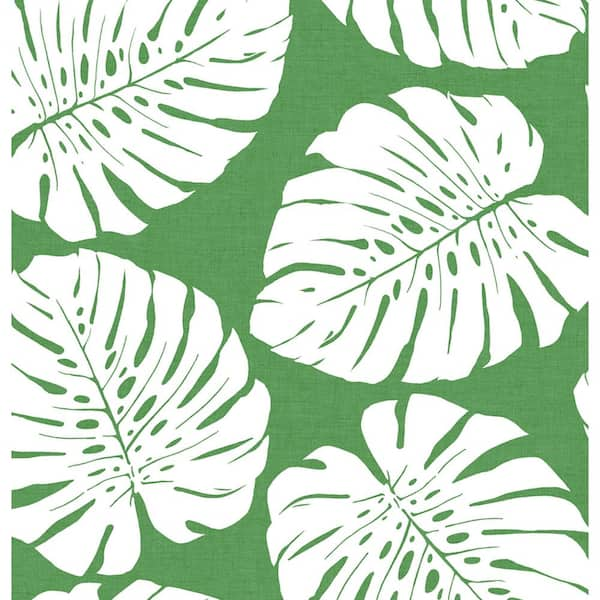 Premium Photo | Monstera leaves wallpaper digital art tropical a