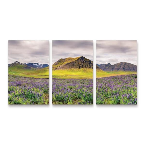 Trademark Fine Art Michael Blanchette Photography Lupines and Mountains Panorama 3-Piece Panel Unframed Photography Wall Art 19 in. x 36 in