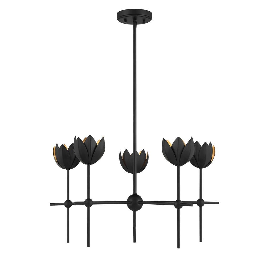 Meridian 26 in. W x 14 in. H 5-Light Matte Black Bohemian Chandelier with Metal Shades price history on PriceWatchPro