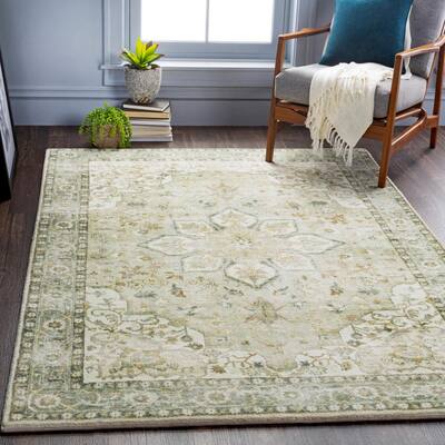 Green Area Rugs The Home Depot, Blue And Green Area Rugs 5 215 7 Sage