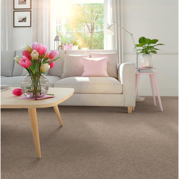 Coastal Charm II Color Espresso Brown 56 oz. Nylon Texture Installed Carpet