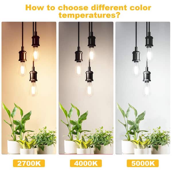 ZXXC Clear Glass Style 60-Watt Equivalent ST58 Soft White (2700K