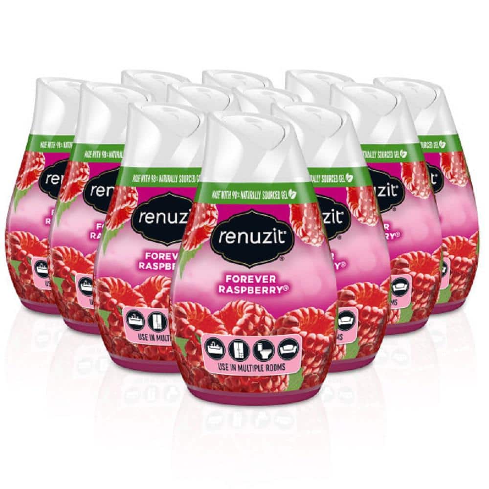 Renuzit 7 oz. Raspberry Adjustable Solid Air Freshener (12Pack) 033672 The Home Depot