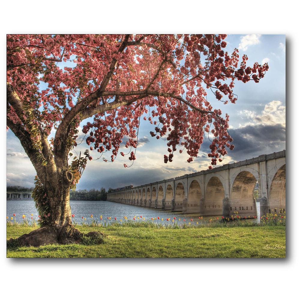 Courtside Market Autumn tree by Bridge Gallery-Wrapped Canvas