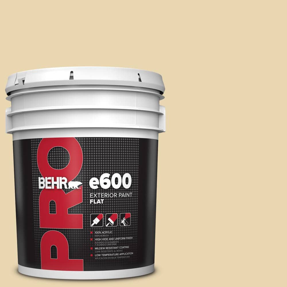 5 gal. #PPF-13 Sunning Deck Flat Exterior Paint price history on PriceWatchPro