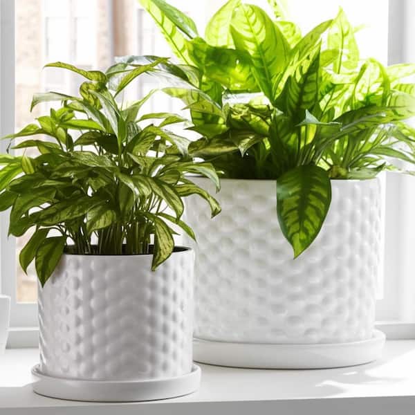 Sagebrook Home 10 in. & 12 in. Small Bubble Planter White - Set of 2