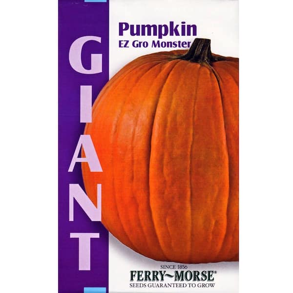 Ferry-Morse Giant EZ Gro Monster Pumpkin Seed