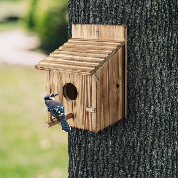 thumbnail interactive-video image 1 of Wooden Bird House For Outside Hanging - All-Weather Bird Feeder & Nesting Box For Bluebirds, Finches, Garden Birds 1 of 10