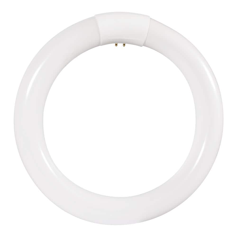 Sylvania 22W T9 circline plus circular lamp tube G10q cool white 208mm dia 8" 