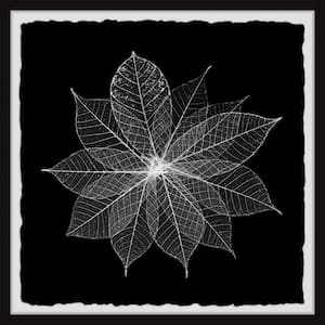 "Leaf Splash" by Marmont Hill Framed Nature Art Print 32 in. x 32 in.