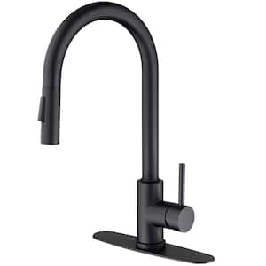 Single-Handle Pull Down Sprayer Kitchen Faucet with 2 Modes Spray, Pull Out Spray Wand in Matte Black