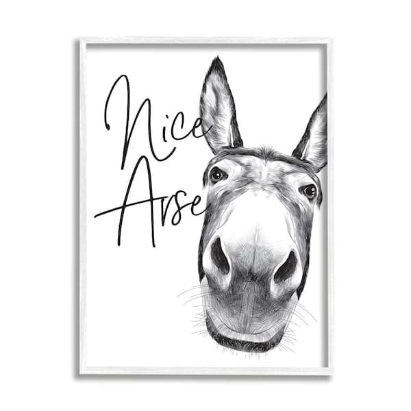Stupell Industries "Animal Humor Nice Arse Donkey Bathroom Phrase" by Lettered and Lined Framed Animal Wall Art Print 11 in. x 14 in.