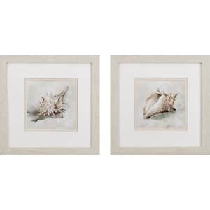 11 in. X 11 in. Conch Shell Watercolor Wooden Wall Art (Set of 2)
