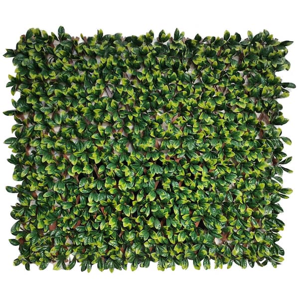 Green Smart Dekor Expandable PVC Trellis Hedge 30 in. X 98 in. Artificial Leaf