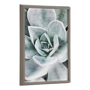 Blake Botanical Succulent Plants 3 by The Creative Bunch Studio Framed Printed Glass Nature Wall Art 24 in. x 18 in.