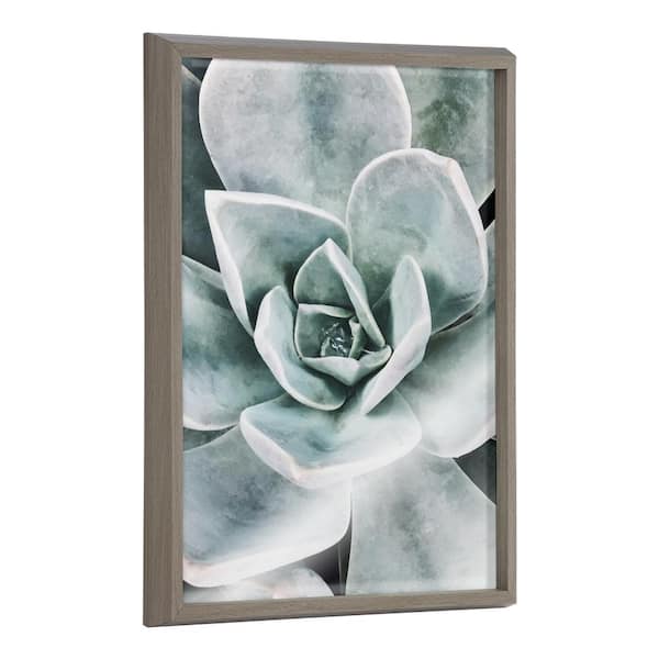 Kate and Laurel Blake Botanical Succulent Plants 3 by The Creative Bunch Studio Framed Printed Glass Nature Wall Art 24 in. x 18 in.