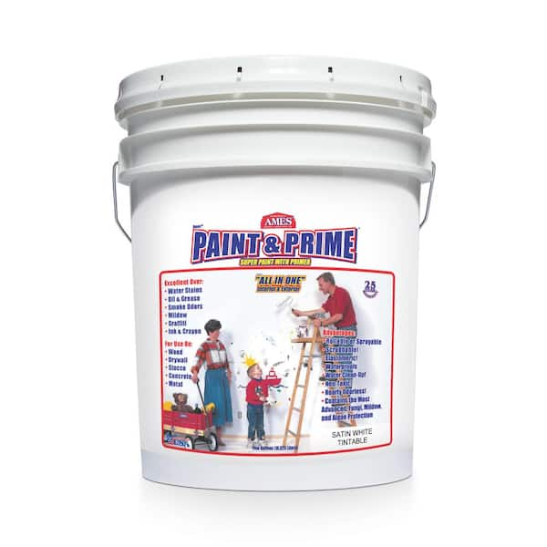 Ames Paint and Prime-5 gal. All in One Elastomeric Primes and Paints ...