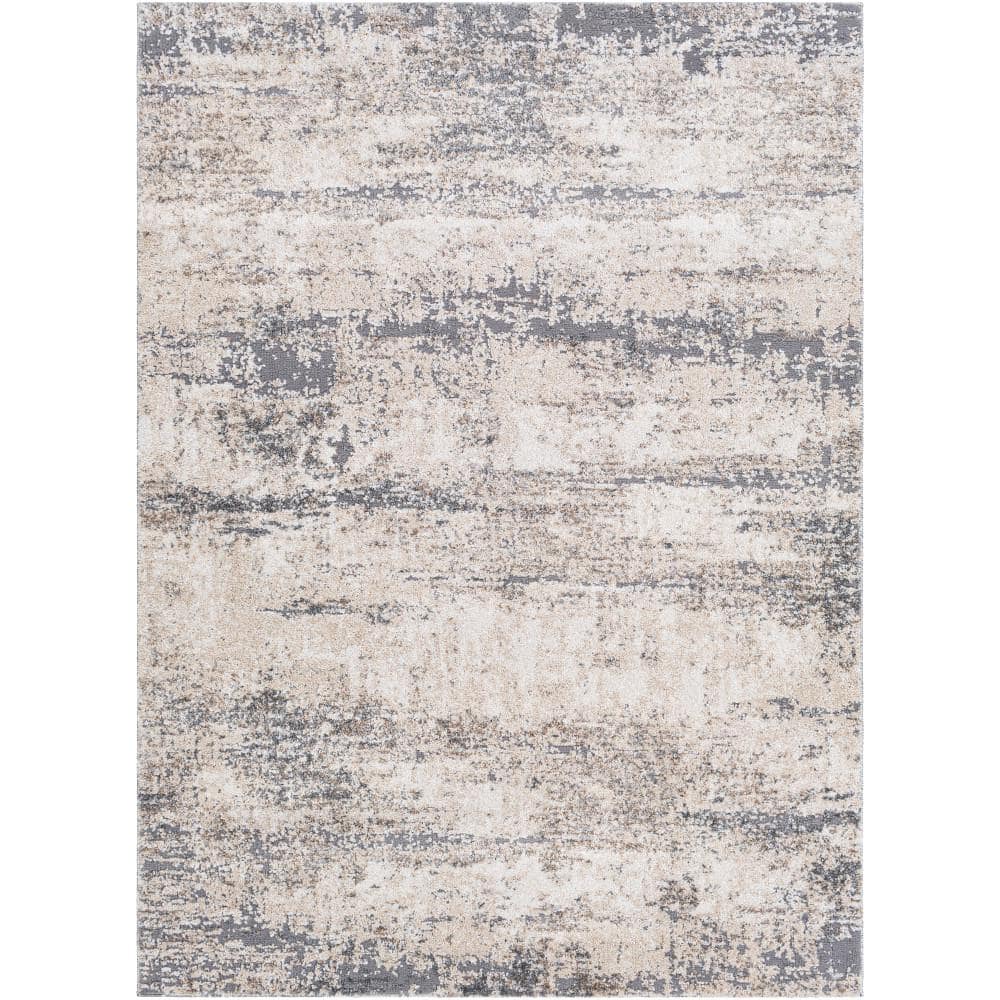 Paloma Medium Gray 8 ft. x 10 ft. Indoor Area Rug price history on PriceWatchPro