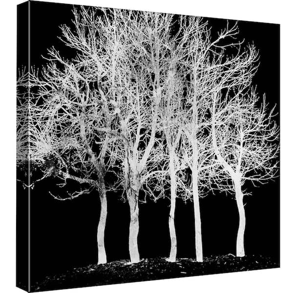 PTM Images 15 in. x 15 in. ''Screened Tree D'' Printed Canvas Wall Art