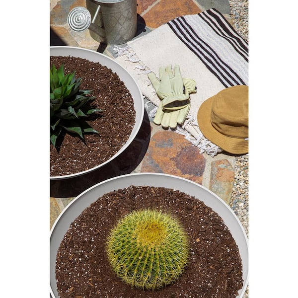 Lane Extra Large White Plastic Bowl Planter with Drainage Holes (24 in. L x 24 in. W x 6.5 in. H) (2-Pack)