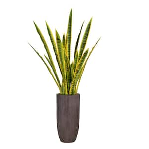 58.25 in. Tall Snake Plant (Sansevieria) Artificial Lifelike Faux in Resin Planter