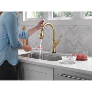 Ophelia Touch2O Single Handle Pull Down Sprayer Kitchen Faucet in Champagne Bronze