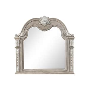 Lucca 51 in. W x 50 in. H Arch Framed Gray Dresser Mirror