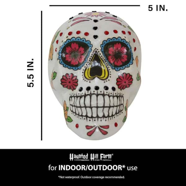 Sugar Skull SF Halloween on blk Sticker for Sale by Andi Bird