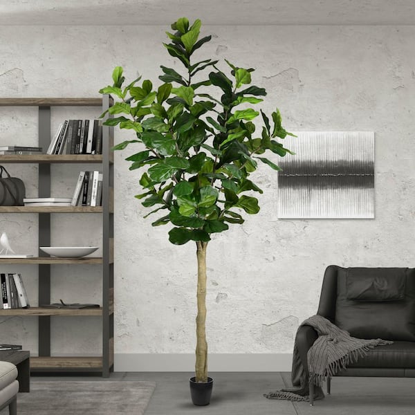 Vickerman 10 ft. Green Artificial Fiddle Leaf Tree In Pot TB180299 The Home Depot