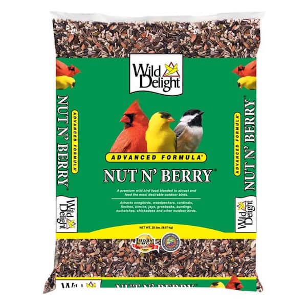 20 lbs. Nut N Berry Assorted Species Sunflower Kernels Wild Bird Seed Food