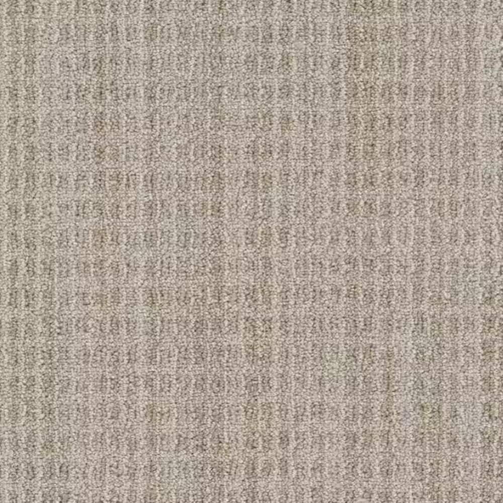 8 in. x 8 in. Pattern Carpet Sample-Soundwave-Color Whisper price history on PriceWatchPro