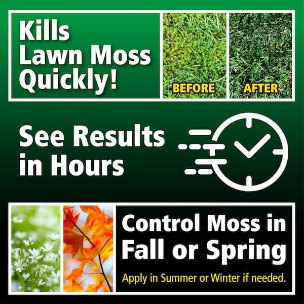 40 lb. 10,000 sq. ft. Lawn Moss Killer Granules