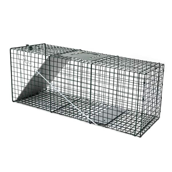 humane pet trap