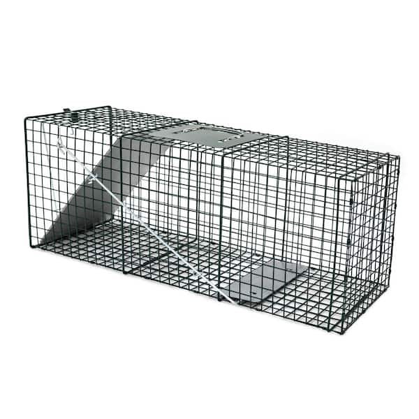  LifeSupplyUSA Humane Live Animal Trap - Catch and Release  1-Door Cage Trap for Dogs, Foxes, Badgers, Coyotes, Similar Sized Animals -  No Kill Easy Trapping (42x15x15) : Patio, Lawn 