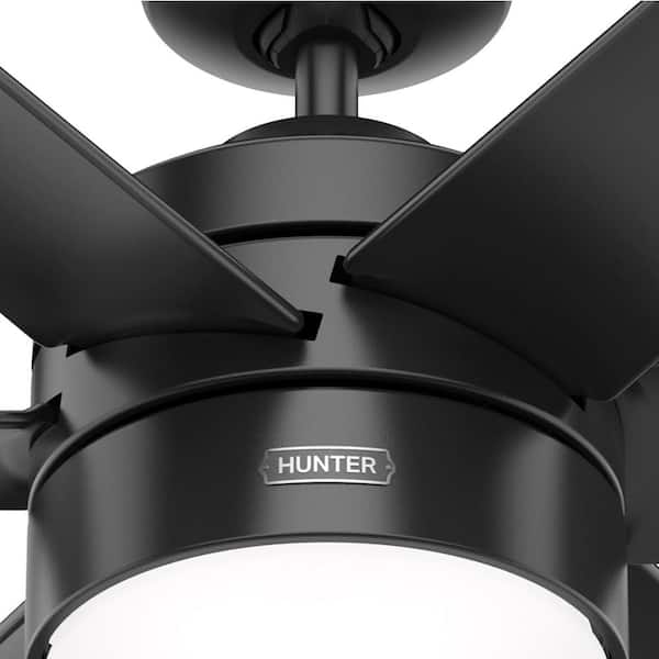Hunter Ceiling Fan Canopy Ring Removal Shelly Lighting