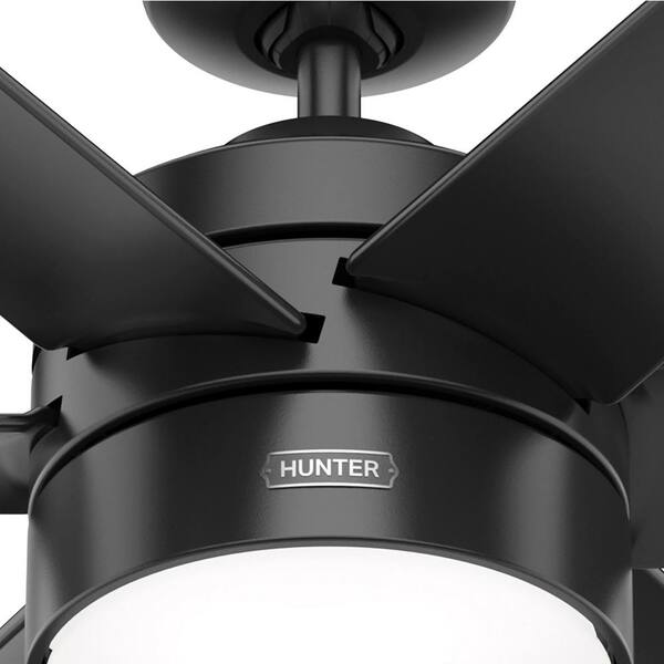 Hunter Invector 60 in. Indoor/Outdoor 