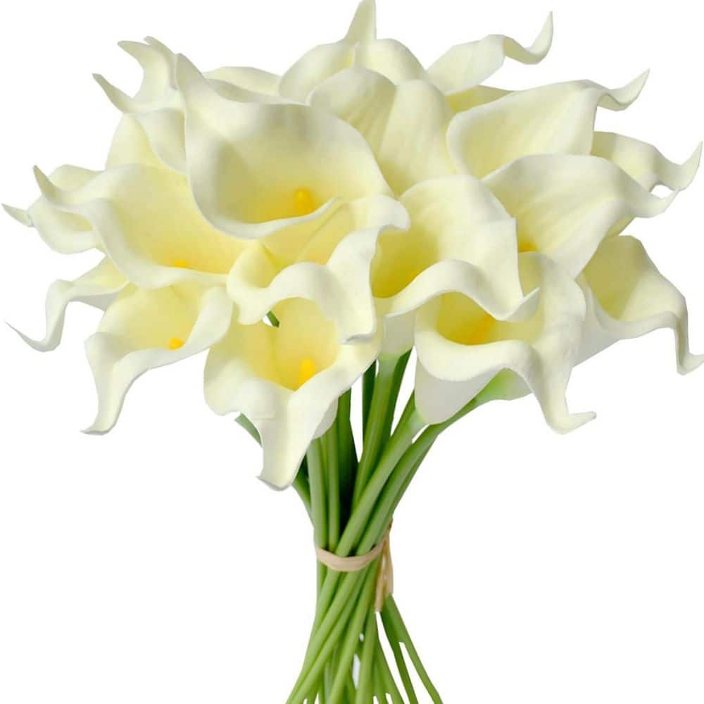 13.5 in. Cream Calla Lily Artificial Flowers, 20-Pack L09BYNQH1H