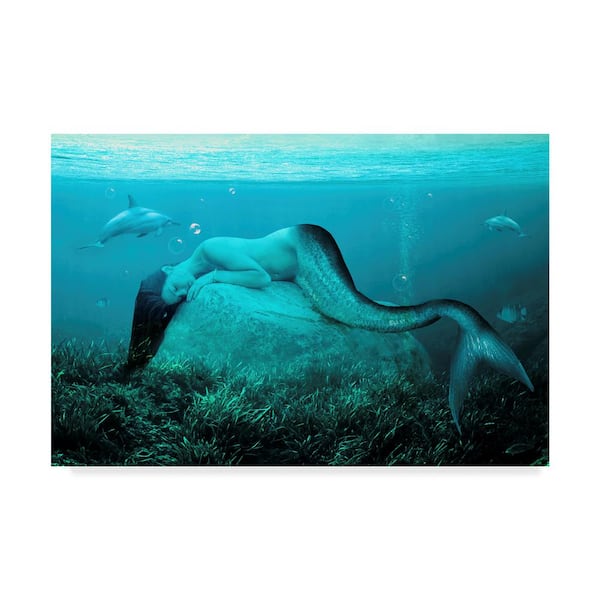 Sleeping Mermaid by Ata Alishahi People Wall Art 12 in. x 19 in.