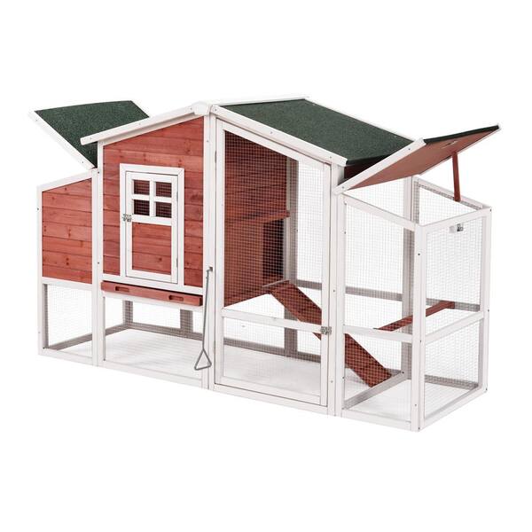 bunny coop
