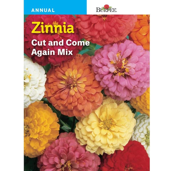 Zinnia Seeds for Outdoor Planting  5 Variety Pack – Gardeners Basics